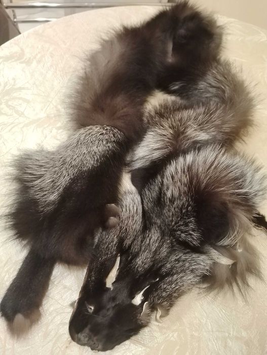 Шапка ушанка изцяло естествен косъм лисица мъжка