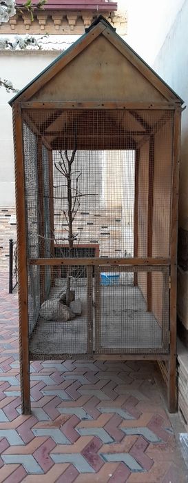 qafas (клетка для птичек)