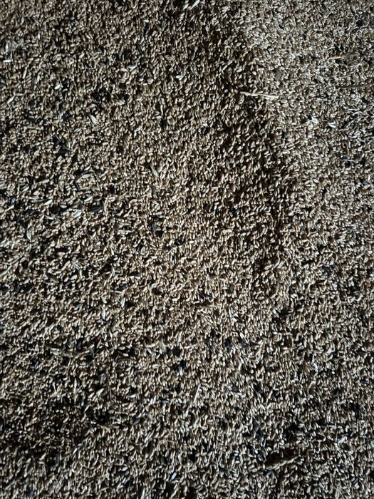 Продам зерноотходы пшеничные, пшеница, ячмень