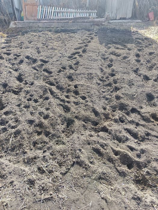 Вспашка мотоблоком