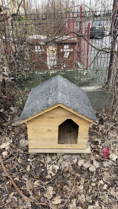 Cușcă câine din lemn – solidă, rezistentă