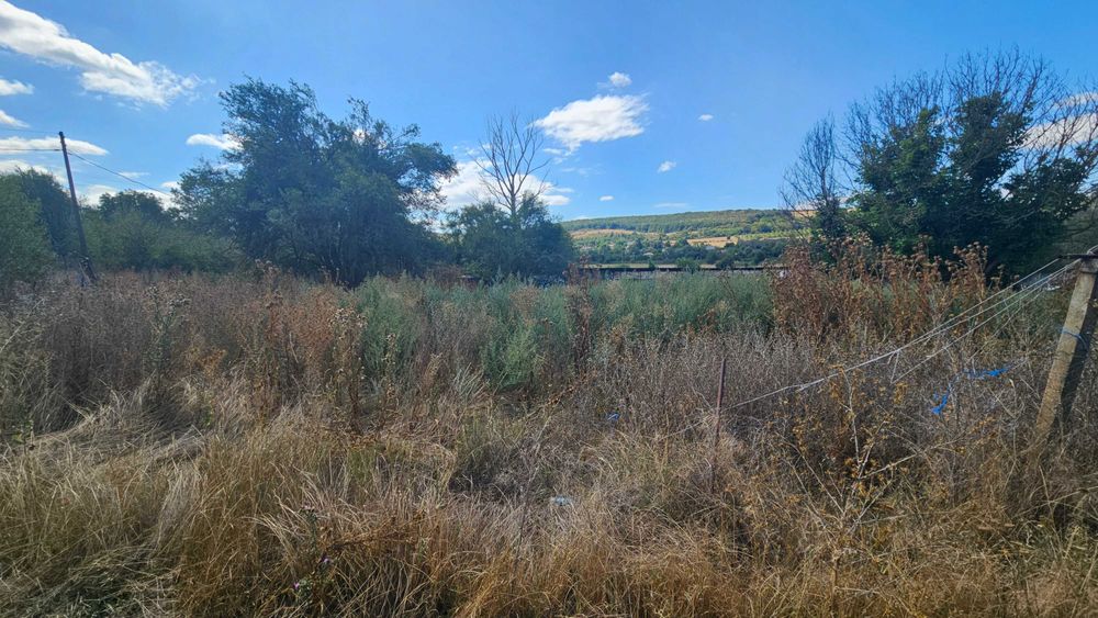 Продава се Парцел в с. Ушинци, Област Разград - 4169 кв.м за 29 €/кв.м - Снимка #5