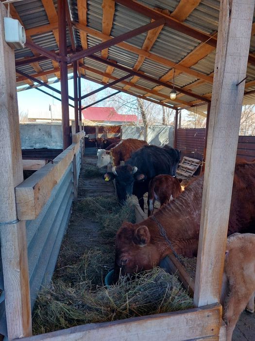 Продам жилой дом