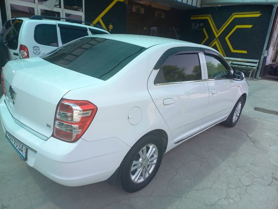 Kobalt R4 OPTIMUM MT2019