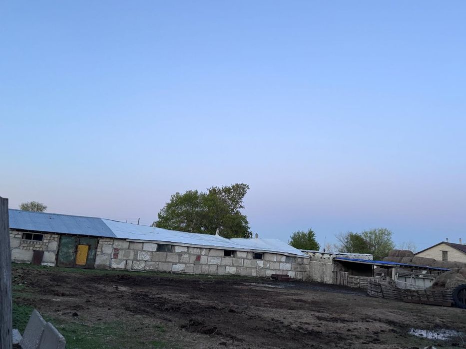 Дом с базой в п. Родниковка