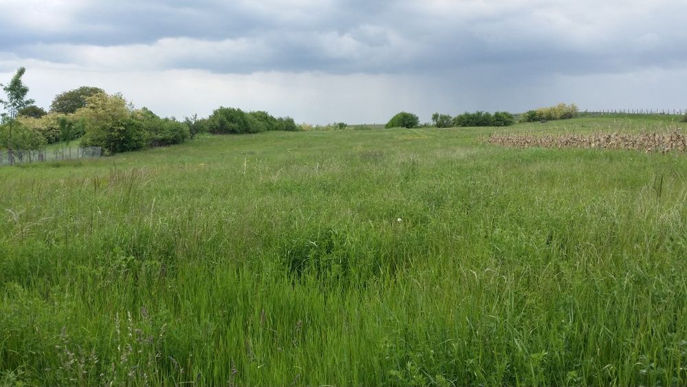 Teren  intravilan de vânzare