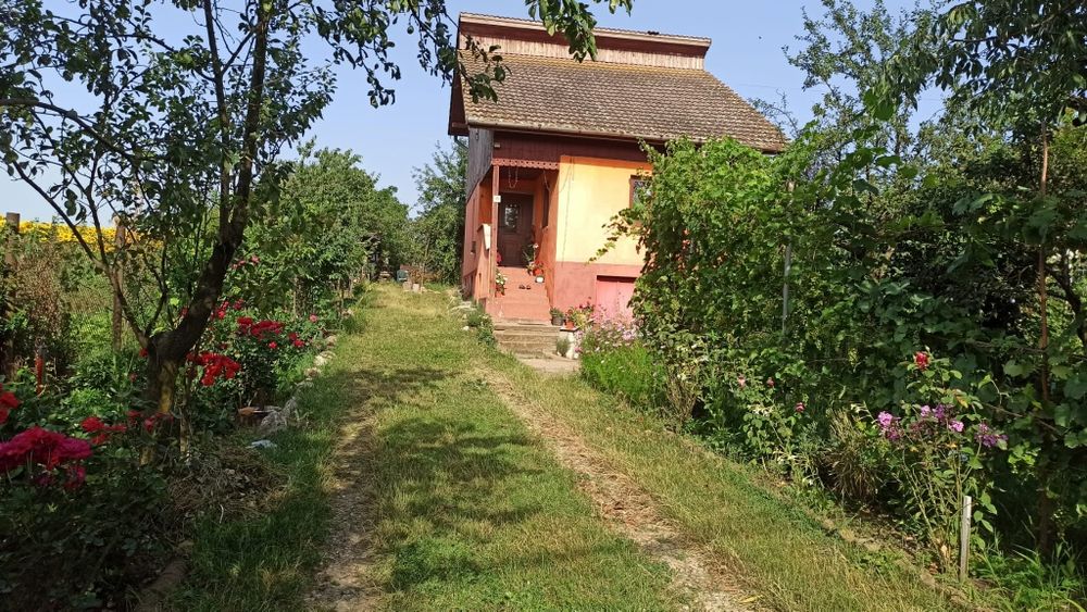 Vand casa Vintu de Jos,zona linistita, strada modernizata complet