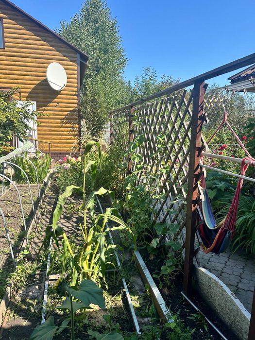 Продам дачу ПЕСТРОЕ