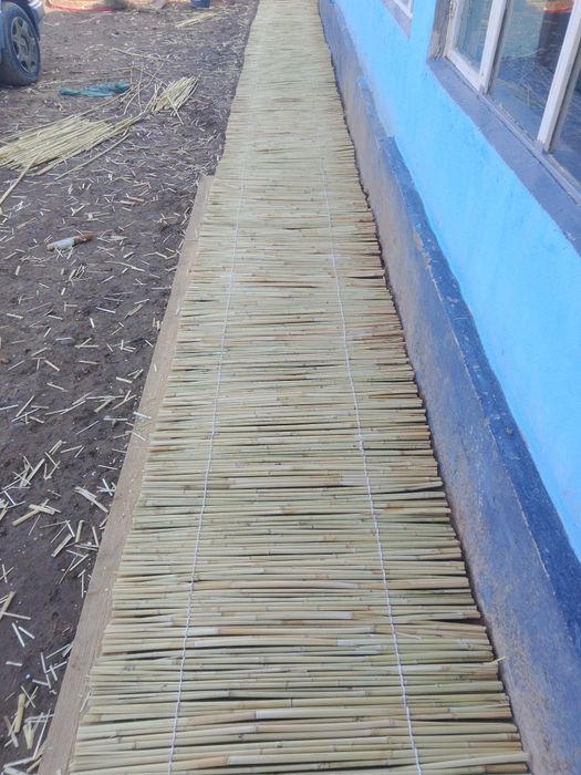 Қамыс 250 ши 3000