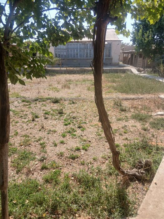 Ховли нарпай центрда  навоида 10.3 sutik