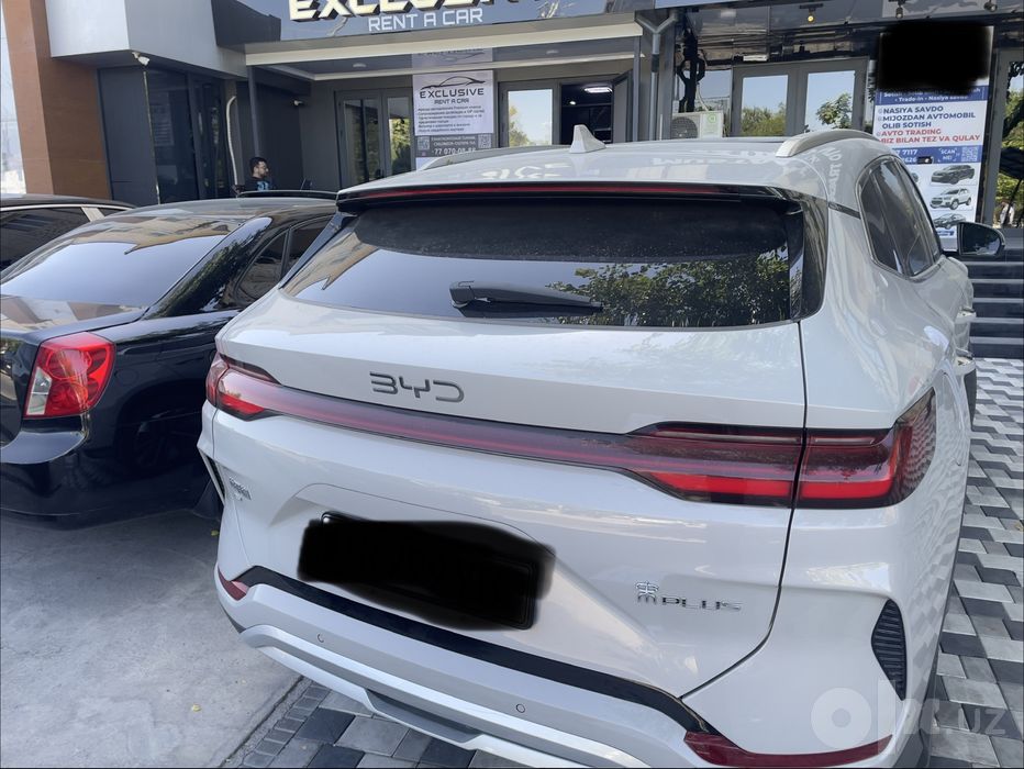 Byd champion 605