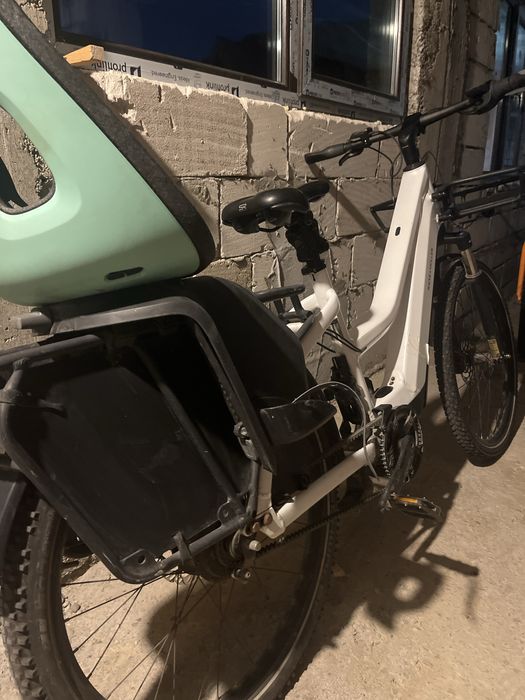 Bicicletă Electrică (Riese & Müller)