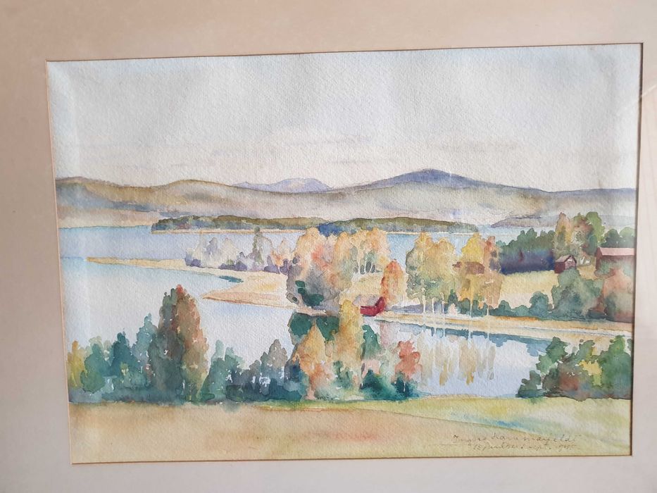 Стари авторски картини- А.Илиева и други