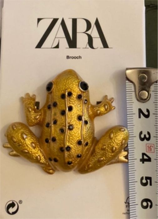 Brosa broscuta cu cristale Zara