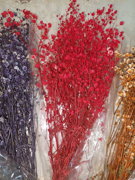 Сухоцветы гипсофила букет