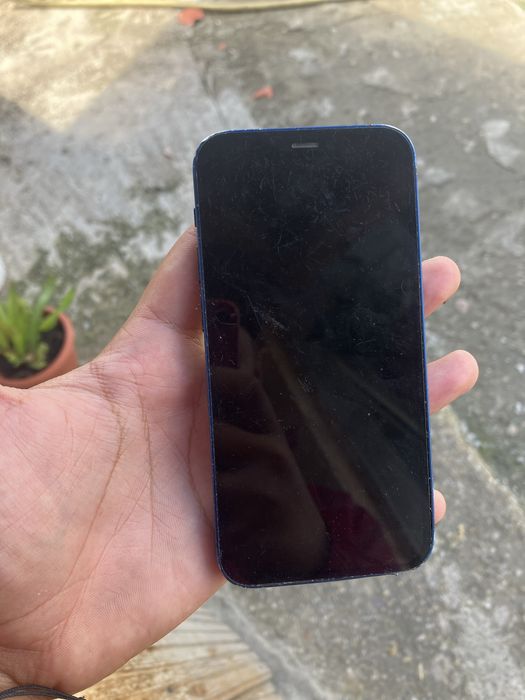 Iphone 12 mini albastru