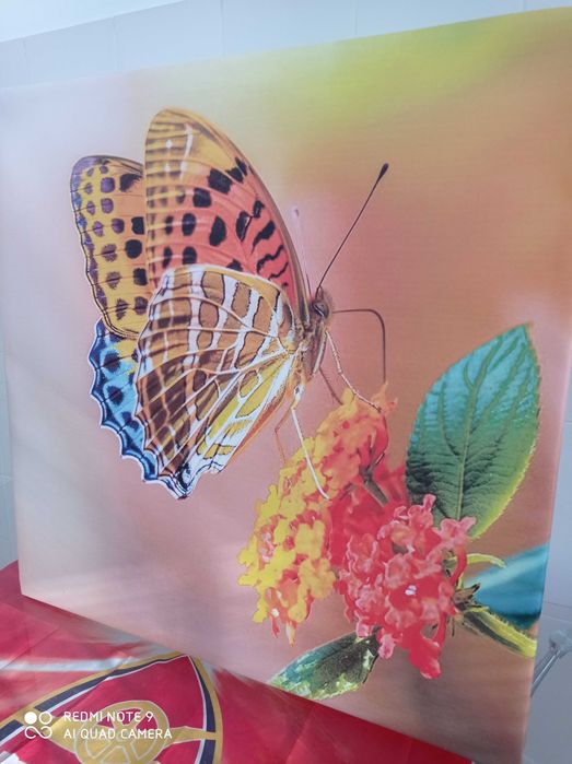 Картины холст 60х60