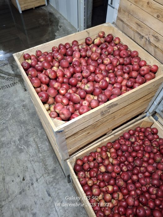 Mere de consum de vanzare .