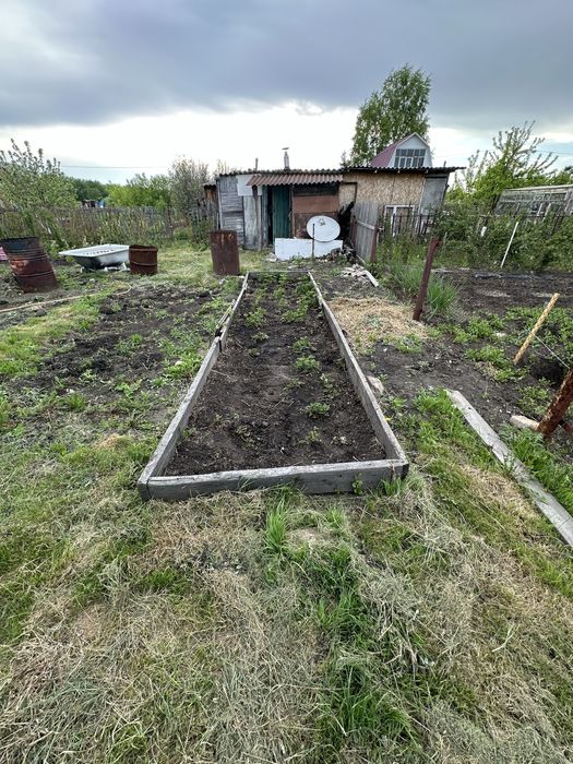 Продам дачу ( СО Дружба)