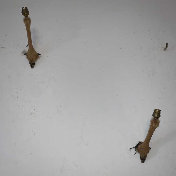 Set aplica de perete din copita de gazela