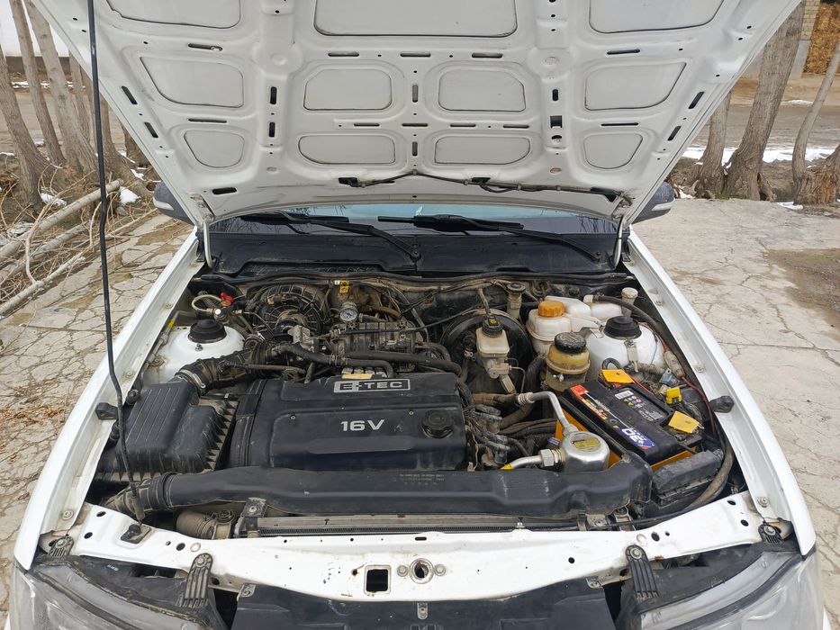 Нехиа 2 донс 1.6 люкс