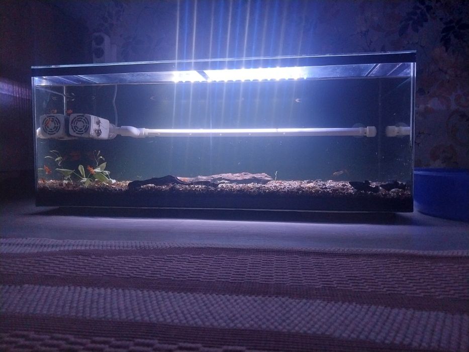Продам аквариум 100л
