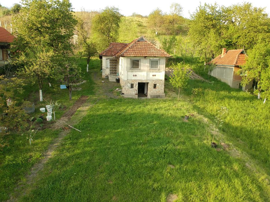 Teren Orasu Nou Vii ,Intravilan 38 Ari , Casa + Livada pomi fructiferi