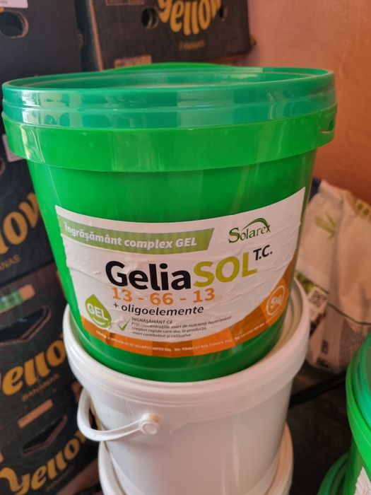 GeliaSol solarex