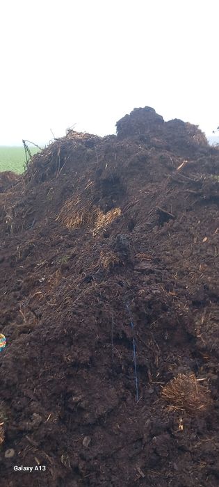 gunoi de VACI putred și proaspăt