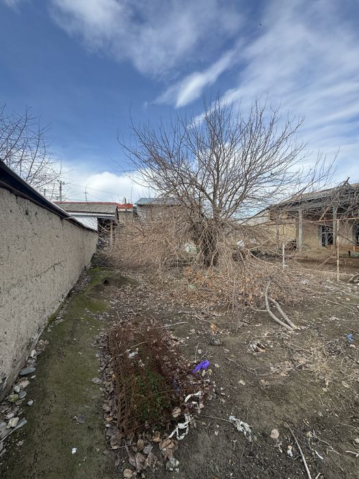 Мотрид Арава сози 9 соток земли