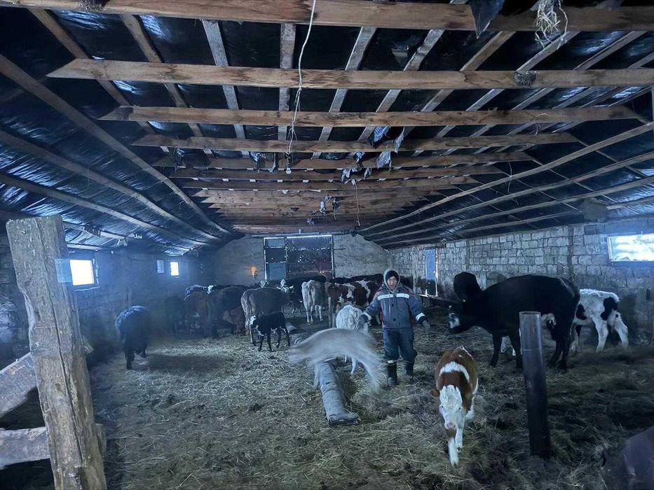 Продается крестьянское хозяйство