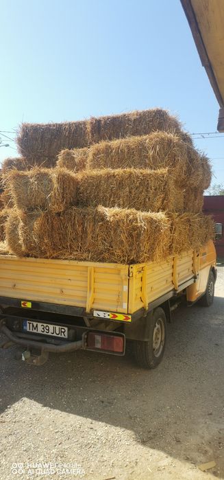Baloti paie de ovăz