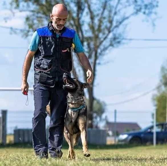 Dresaj canin Prahova (Ploiesti,Breaza,Câmpina,) Otopeni, Snagov