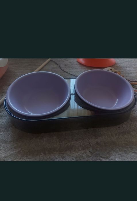 Litiera,  accesorii pisici