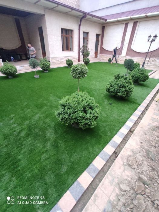 Lanshafd pro oz xizmatlarini taklif qiladi