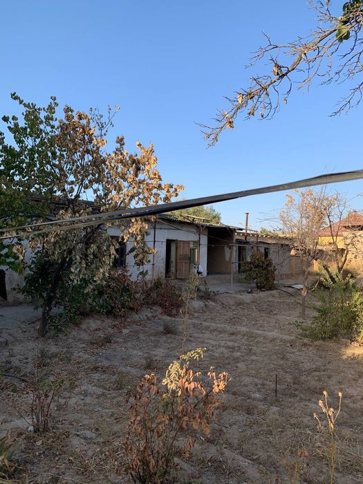 G‘uzor tumanidan kotej sotiladi