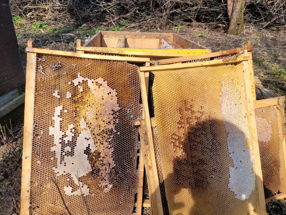 Vand rame stupi cu miere in ele