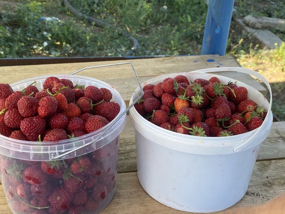 Срочно продам дачу на центральном улице