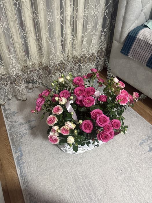 Свежие цветы сегодняшние