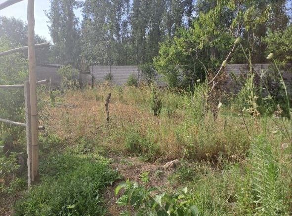 6 соток земли в окружении леса!