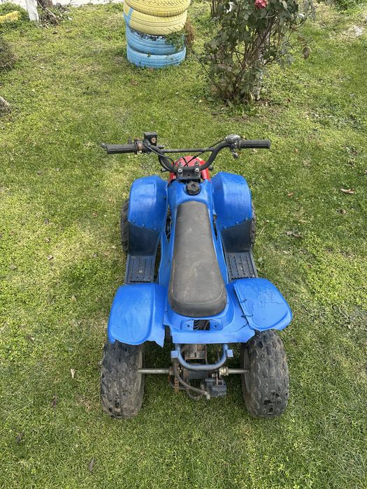 Детско АТВ 110cc