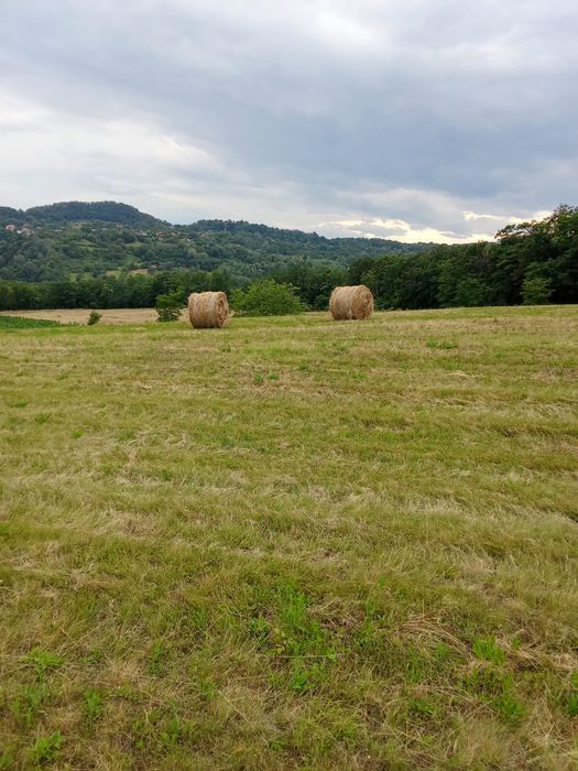 Baloți Lucernă-Fân