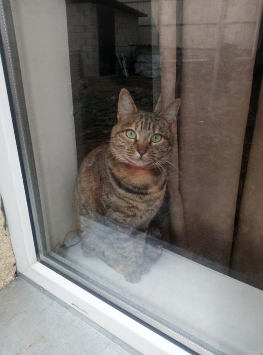 Потеряли члена семьи