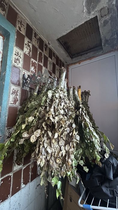 Продаю веники из березы бля бани