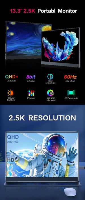 Преносим дисплей 13.3"