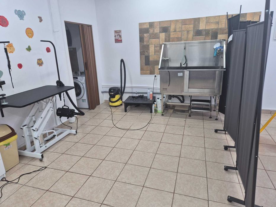 Salon Frizerie Canina si Felina de vanzare!