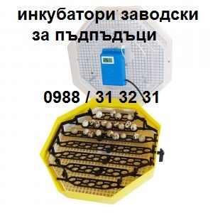 Румънски инкубатор за пилета. Инкубатори за яйца КЛЕО 5; Cleo 5