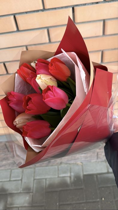 Тюльпаны свежие