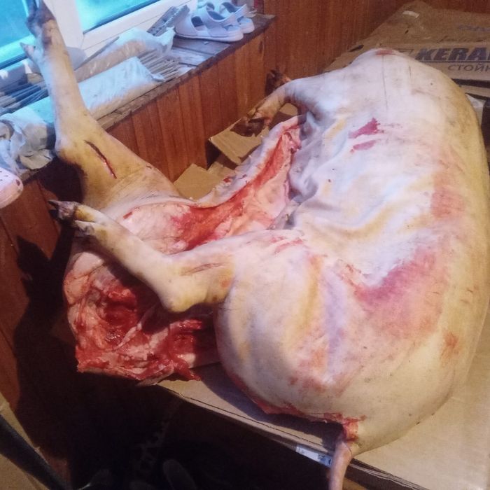 Продам мясо свинины.