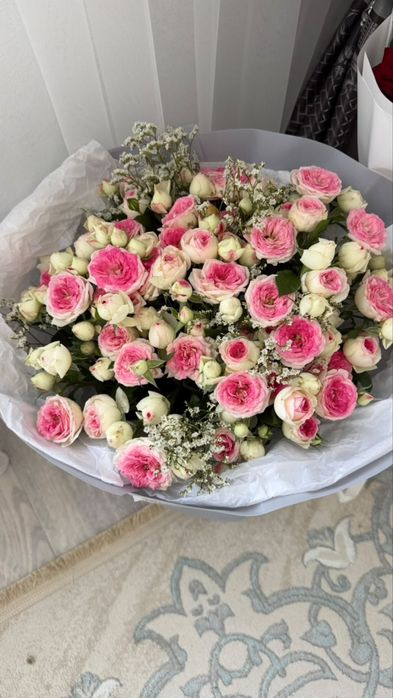 Сегодняшние цветы